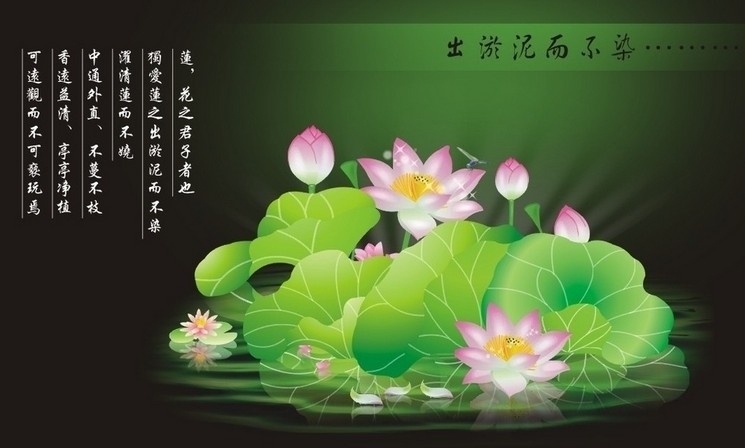 蓮花圖.jpg