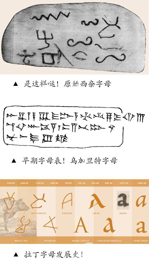 圖片25.png